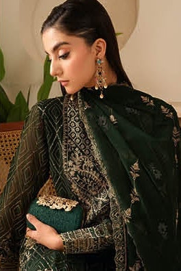 Elegant Embroidered Chiffon Suit with Sequins & Organza Borders ( EC126 )
