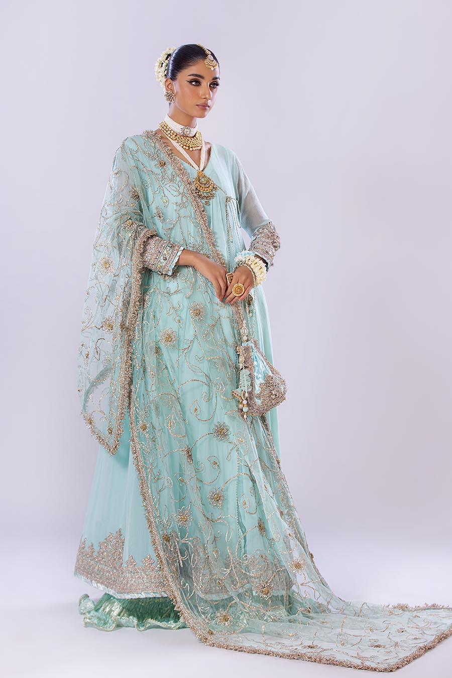 Hand Embroidered Chiffon Sharara Suit | Wedding Wear ( EC107 )
