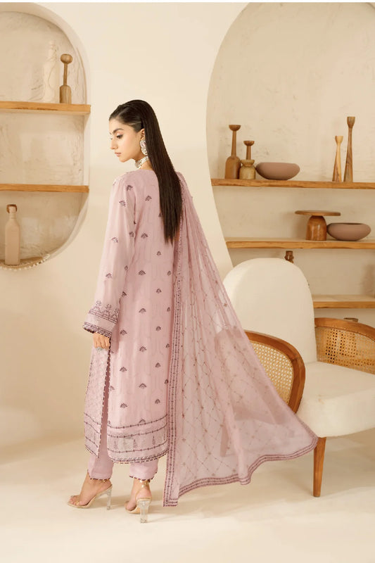 Elegant Embroidered Chiffon Suit with Sequins & Organza Borders ( EC117 )