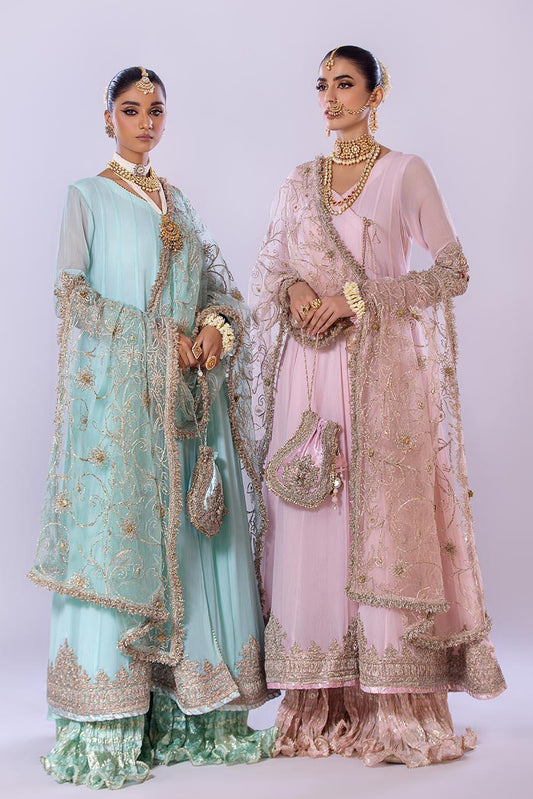 Hand Embroidered Chiffon Sharara Suit | Wedding Wear ( EC107 )