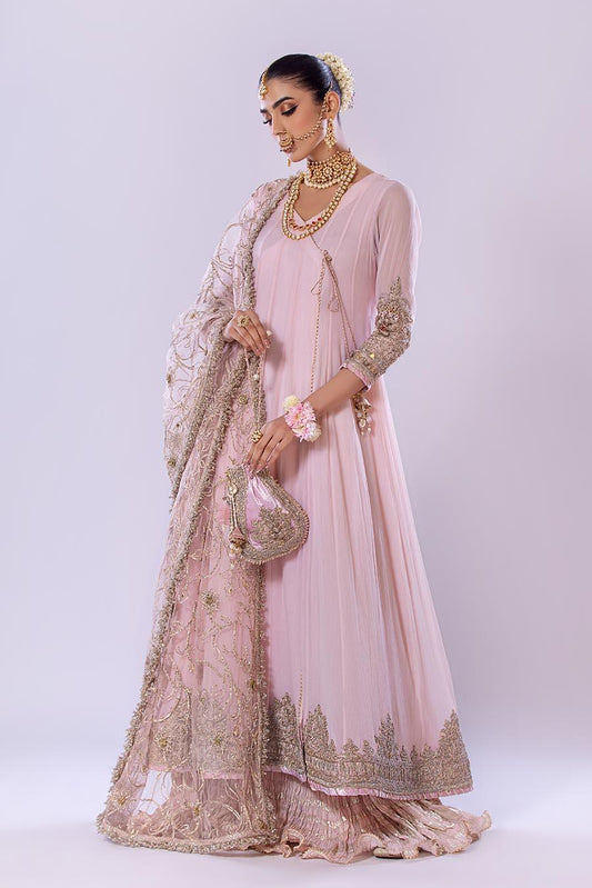 Hand Embroidered Chiffon Sharara Suit | Wedding Wear ( EC107 )