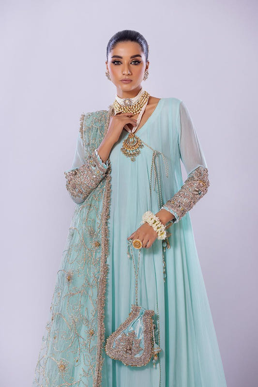 Hand Embroidered Chiffon Sharara Suit | Wedding Wear ( EC107 ) - Sharara Suit by Eastern Clozet