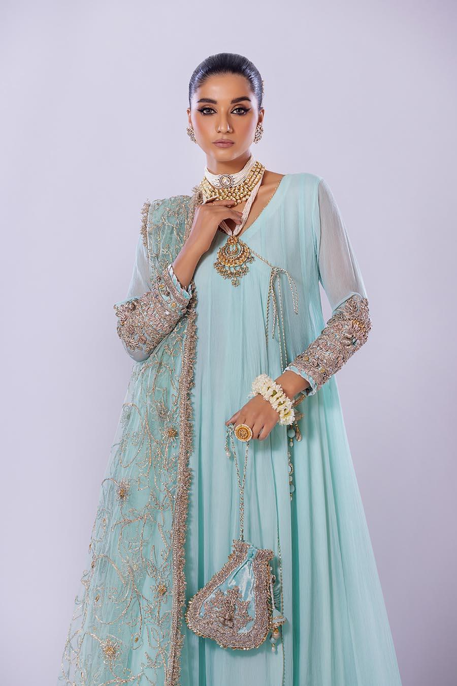 Hand Embroidered Chiffon Sharara Suit | Wedding Wear ( EC107 )