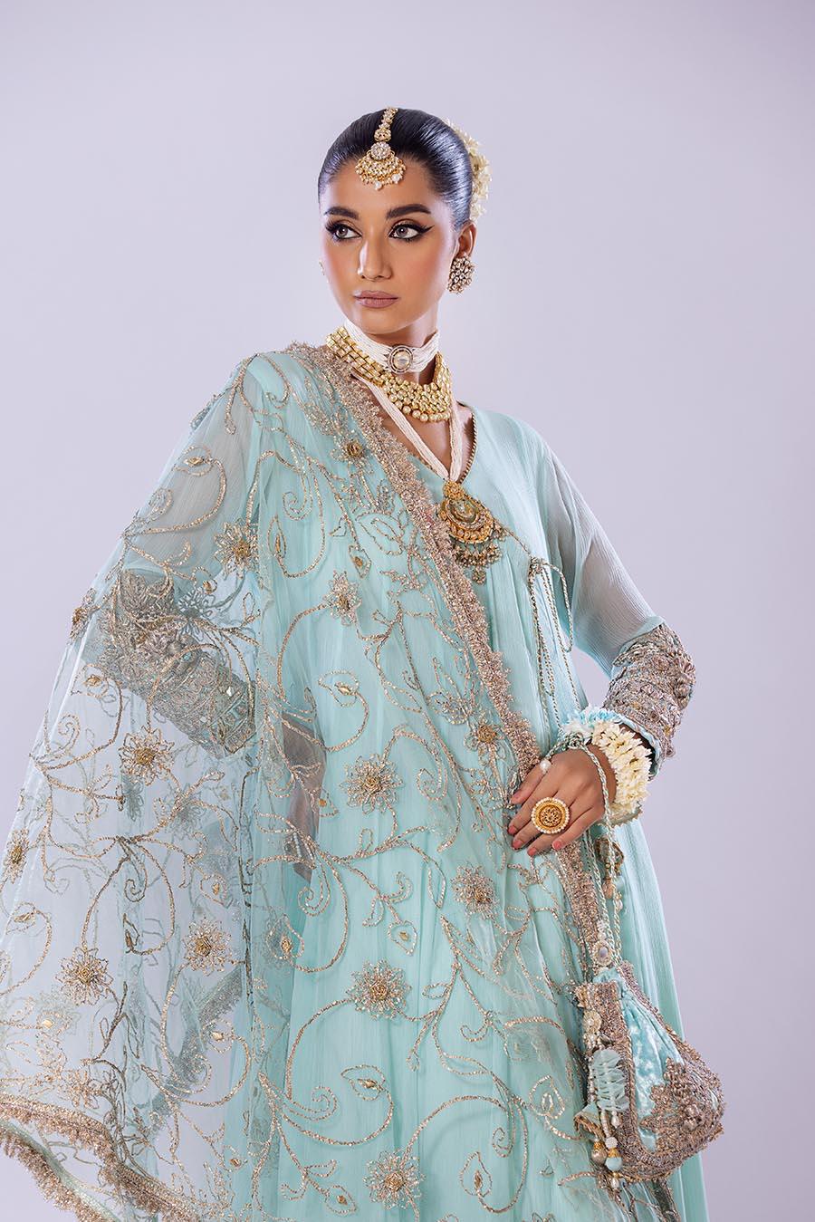 Hand Embroidered Chiffon Sharara Suit | Wedding Wear ( EC107 )