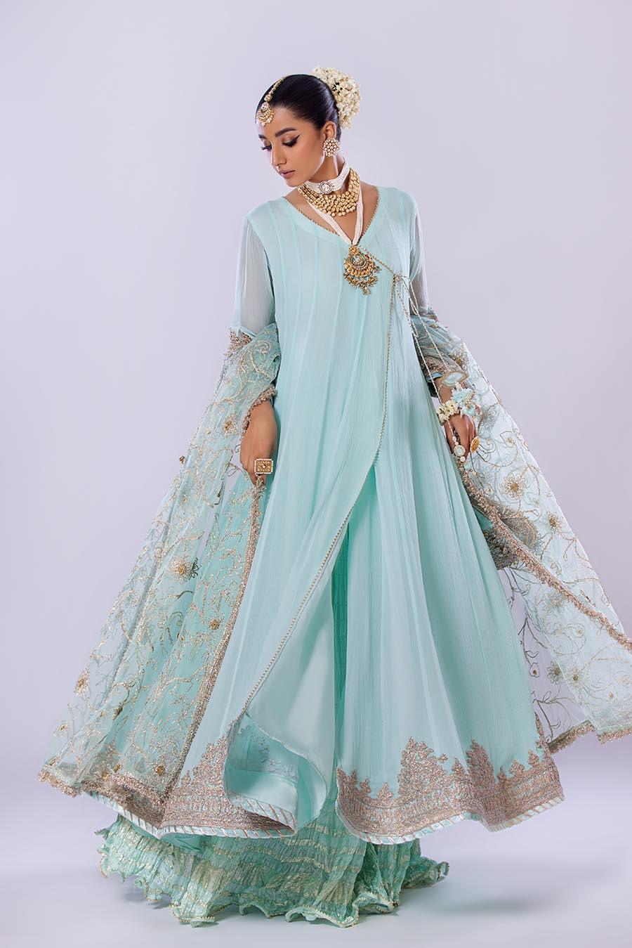 Hand Embroidered Chiffon Sharara Suit | Wedding Wear ( EC107 )