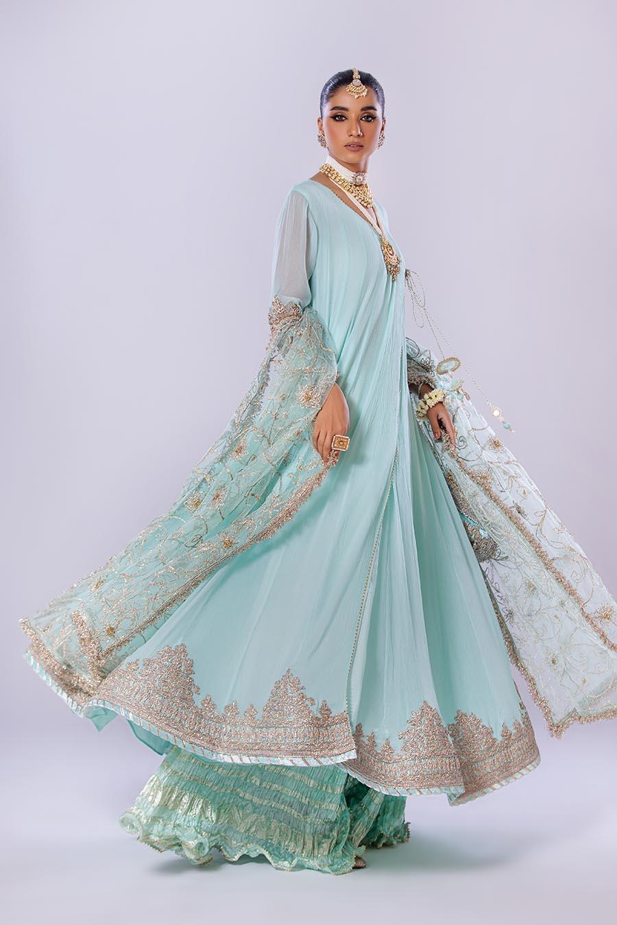 Hand Embroidered Chiffon Sharara Suit | Wedding Wear ( EC107 )