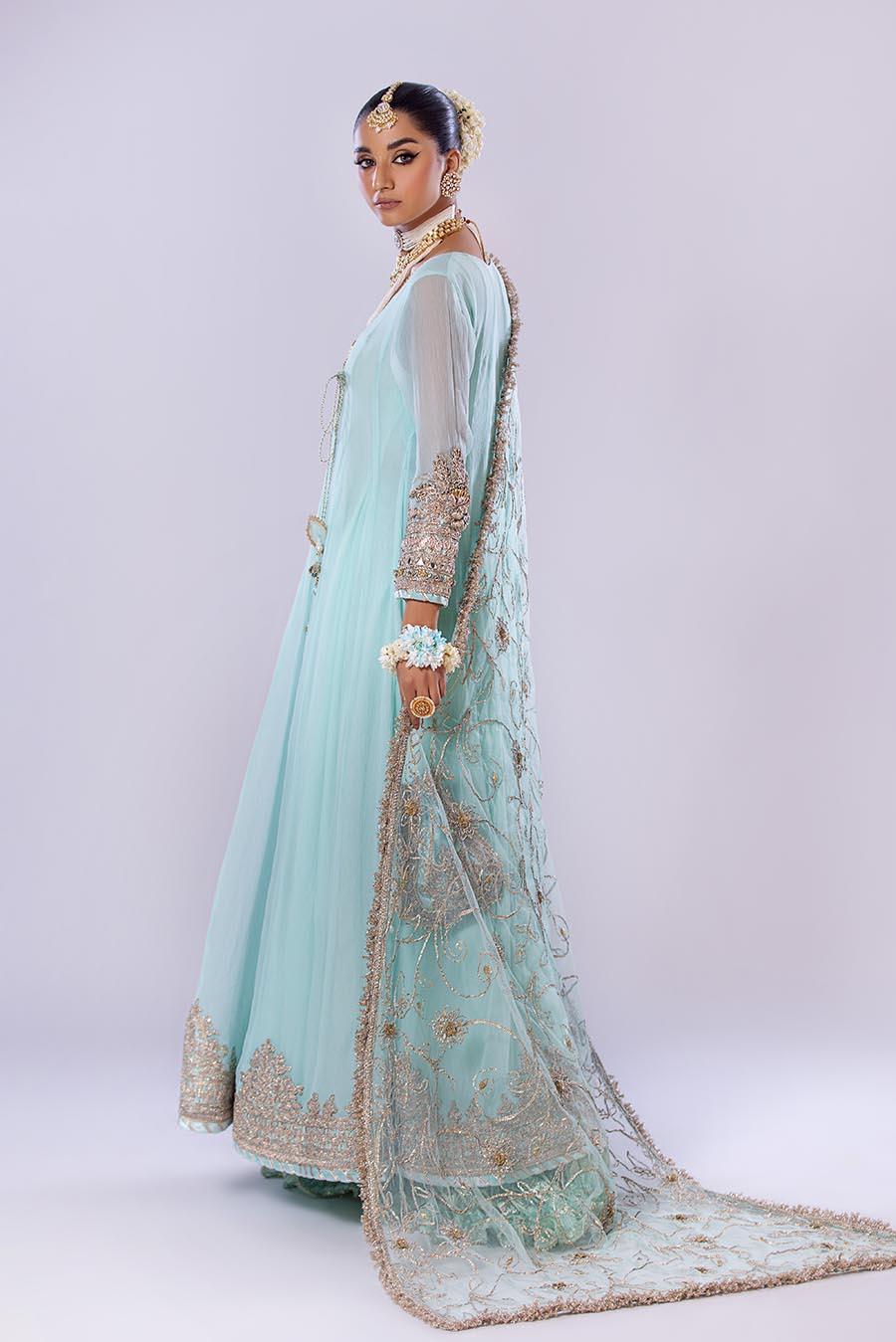 Hand Embroidered Chiffon Sharara Suit | Wedding Wear ( EC107 )