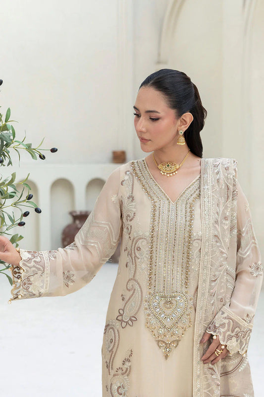 Embroidered Chiffon Suit with Sequins & Hand Embellished Organza ( EC110 )