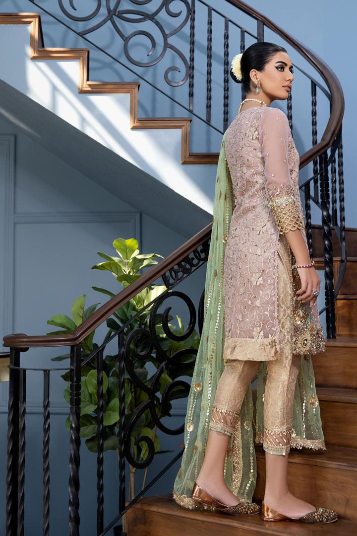 Pakistani Party Wear Hand Work