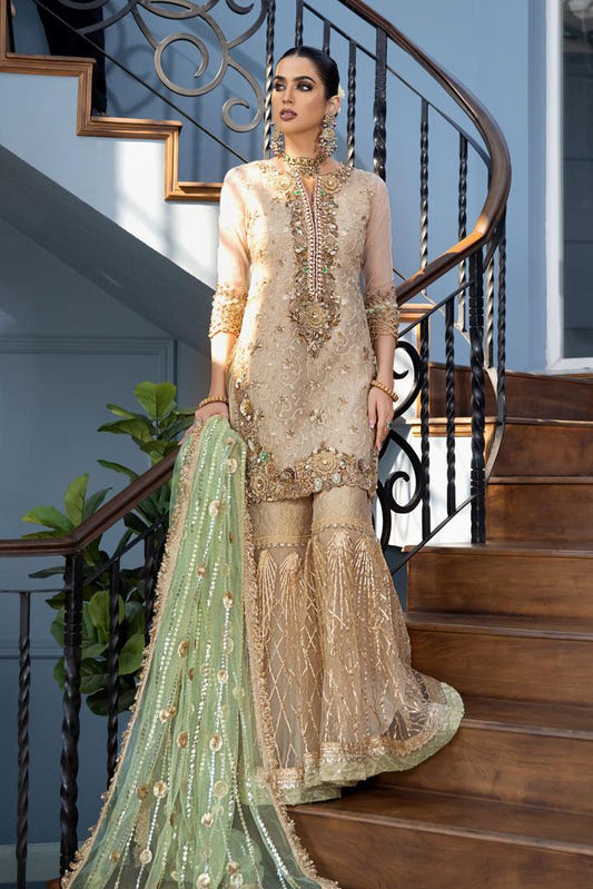 Pakistani Party Wear Hand Work (Style 1) - Pakistani Designer Outfit by Eastern Clozet