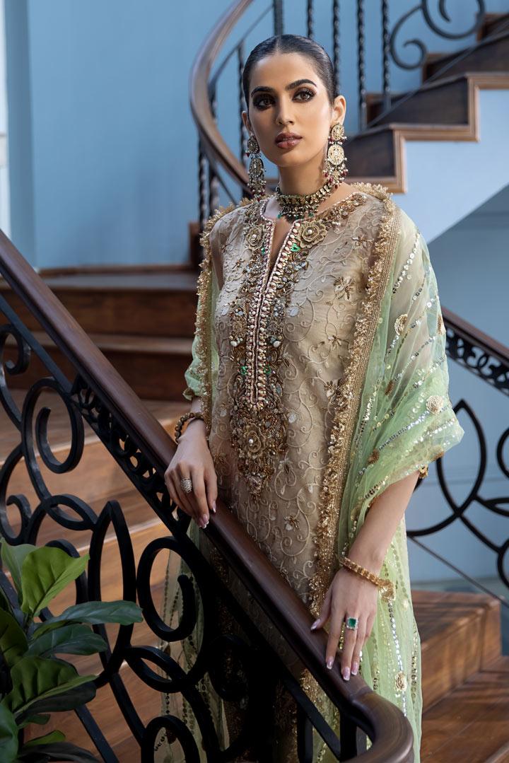 Pakistani Party Wear Hand Work
