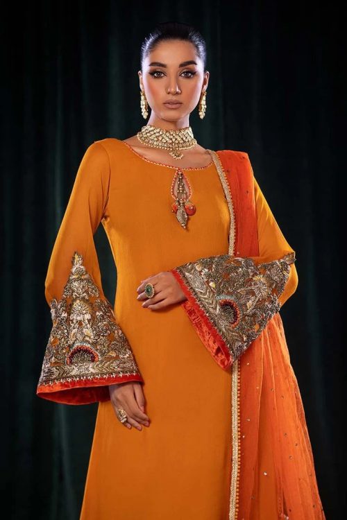 Elegant Shalwar Kameez featuring refined embroidery and a graceful Pakistani formal look